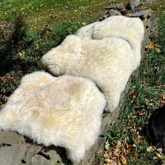 Genuine Sheepskin Rug 100% Natural From Our Farm - Picture 3 of 8